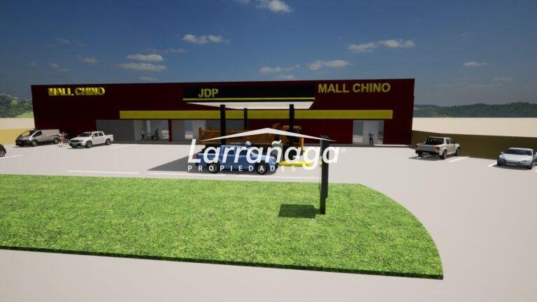 Proyecto Mall Chino