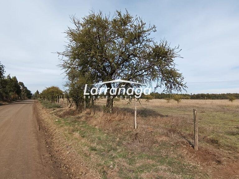 Parcela Camino a Bulnes
